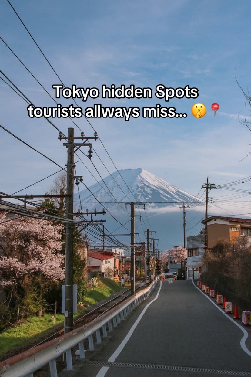 Tokyo's Enchanting Hidden Sanctuaries