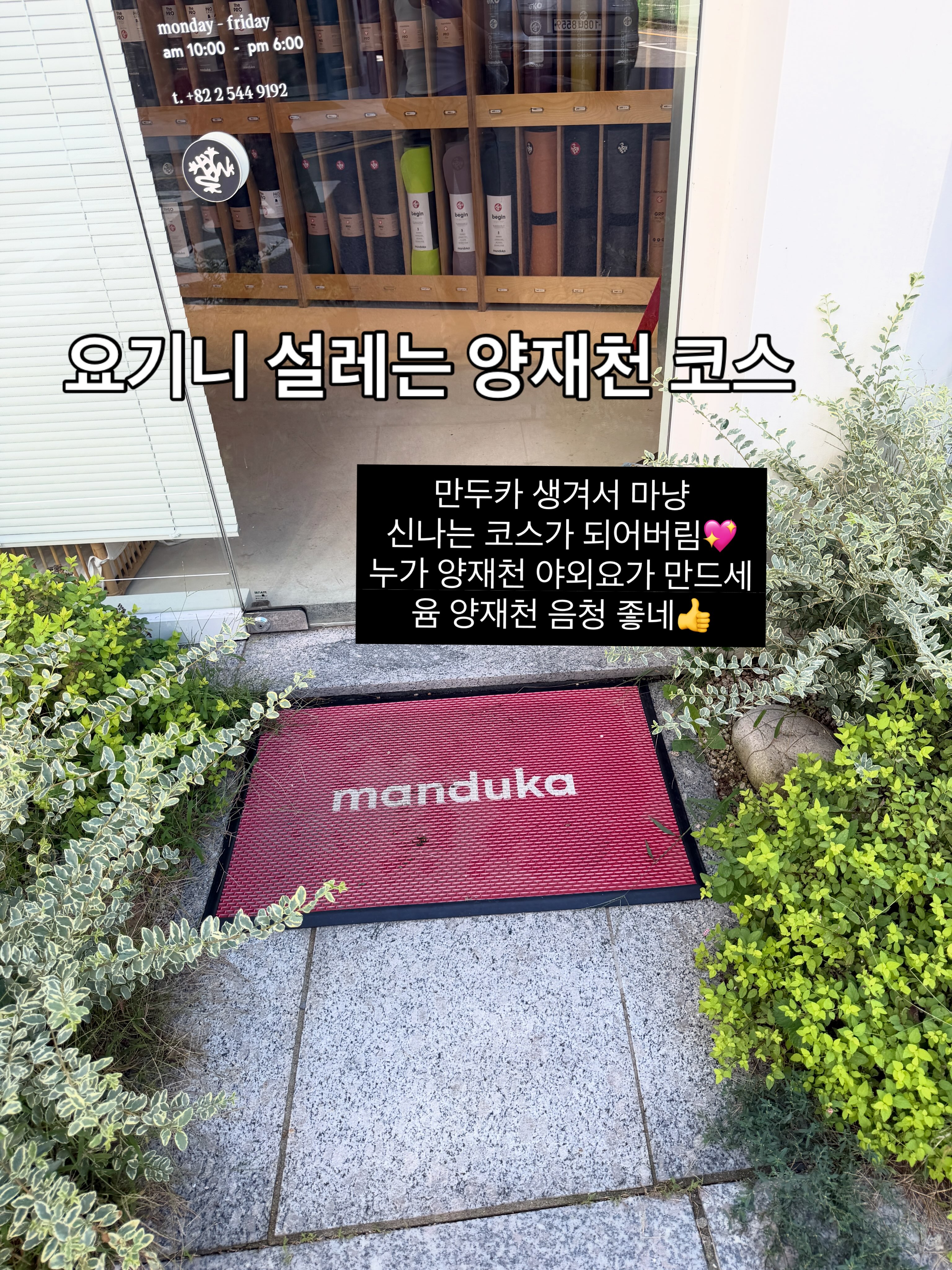 Yangjaecheon Yoga-Themed Coffee and Food Tour