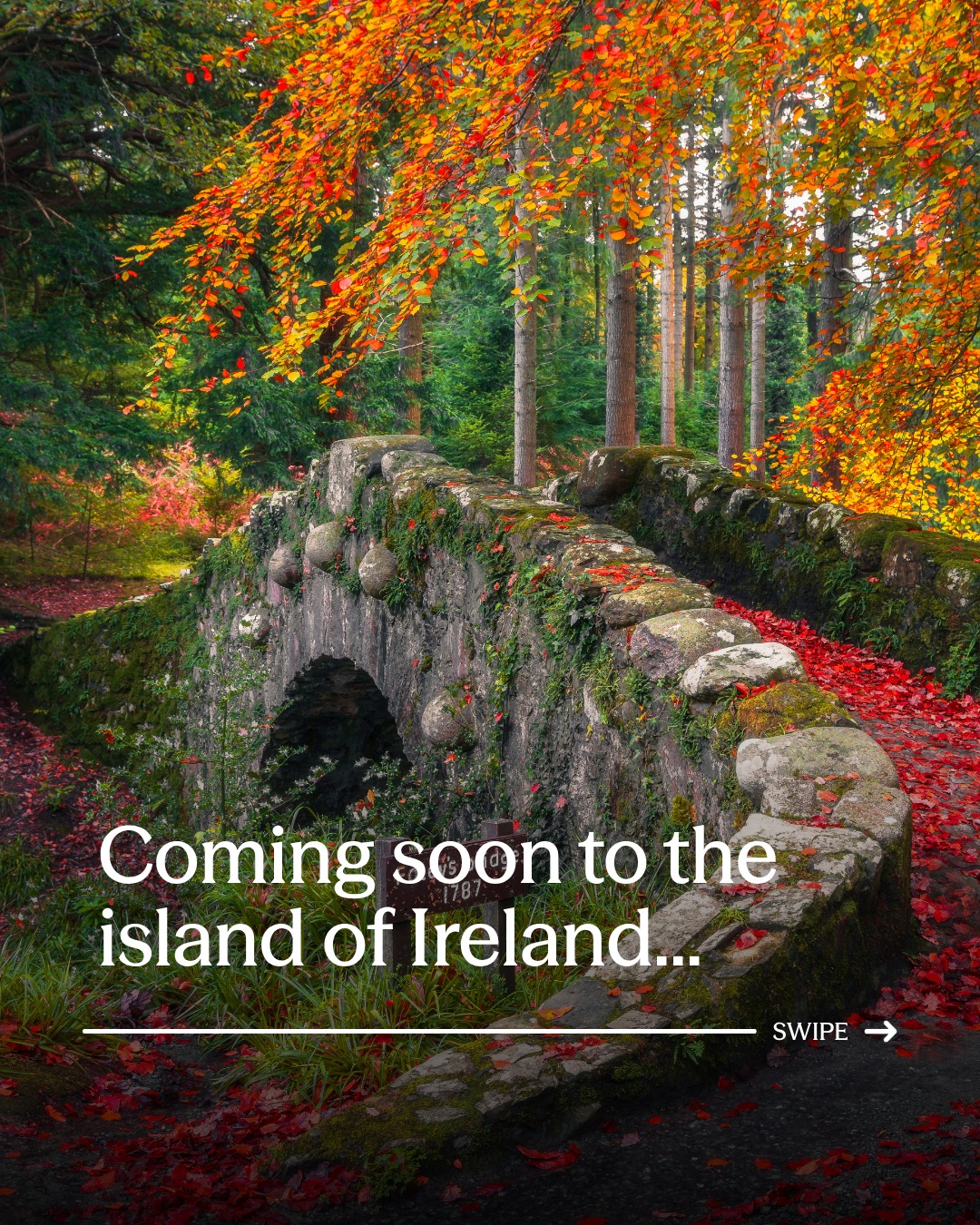 Irish Gardens, Parks, and Natural Wonders
