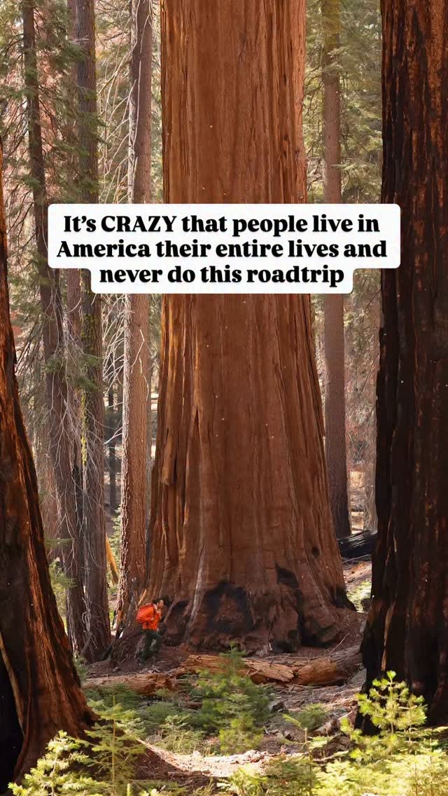 California's Diverse National Parks And Coastal Wonders