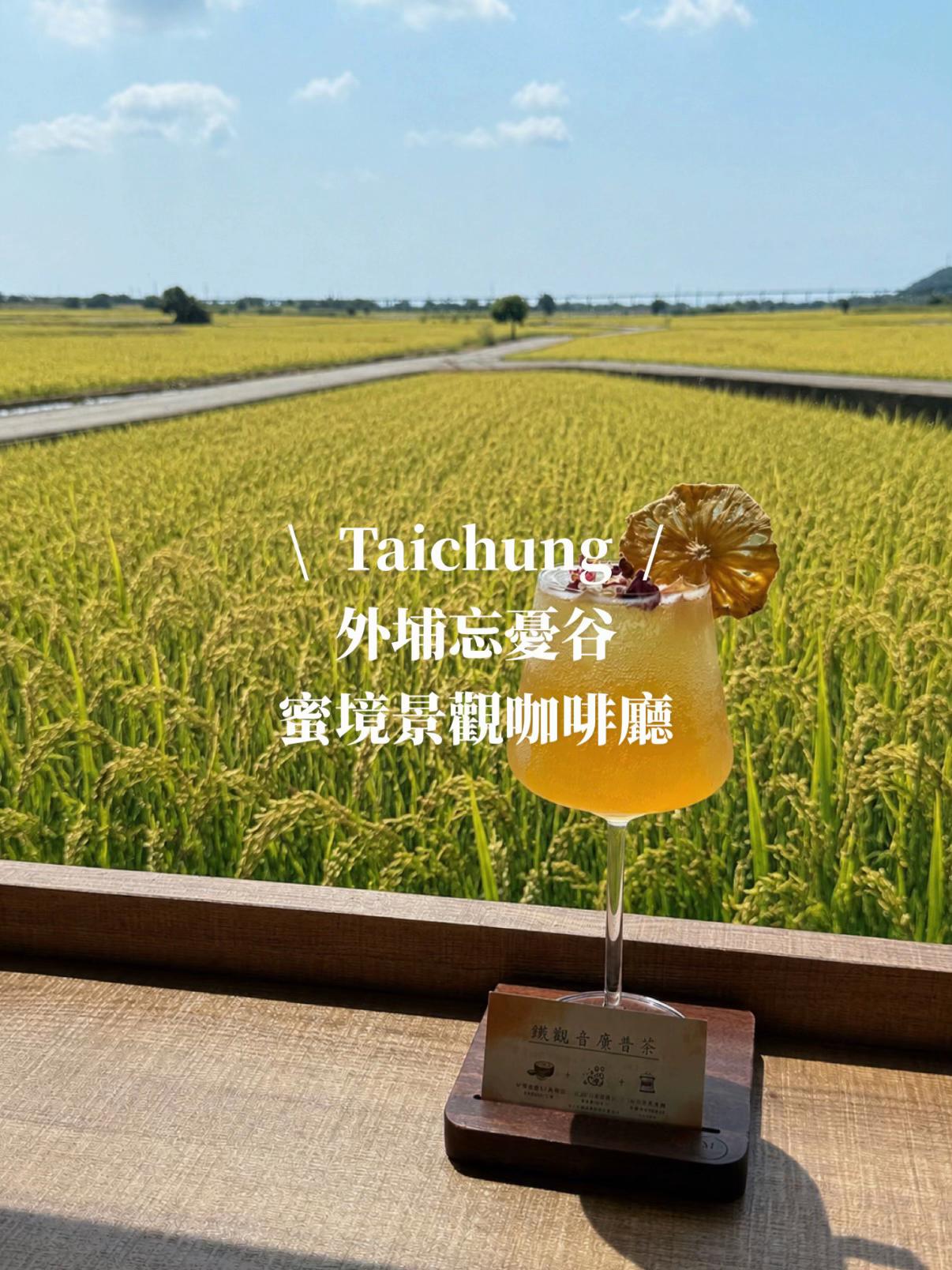 Container Cafe by Rice Fields Near Wangyou Bus
