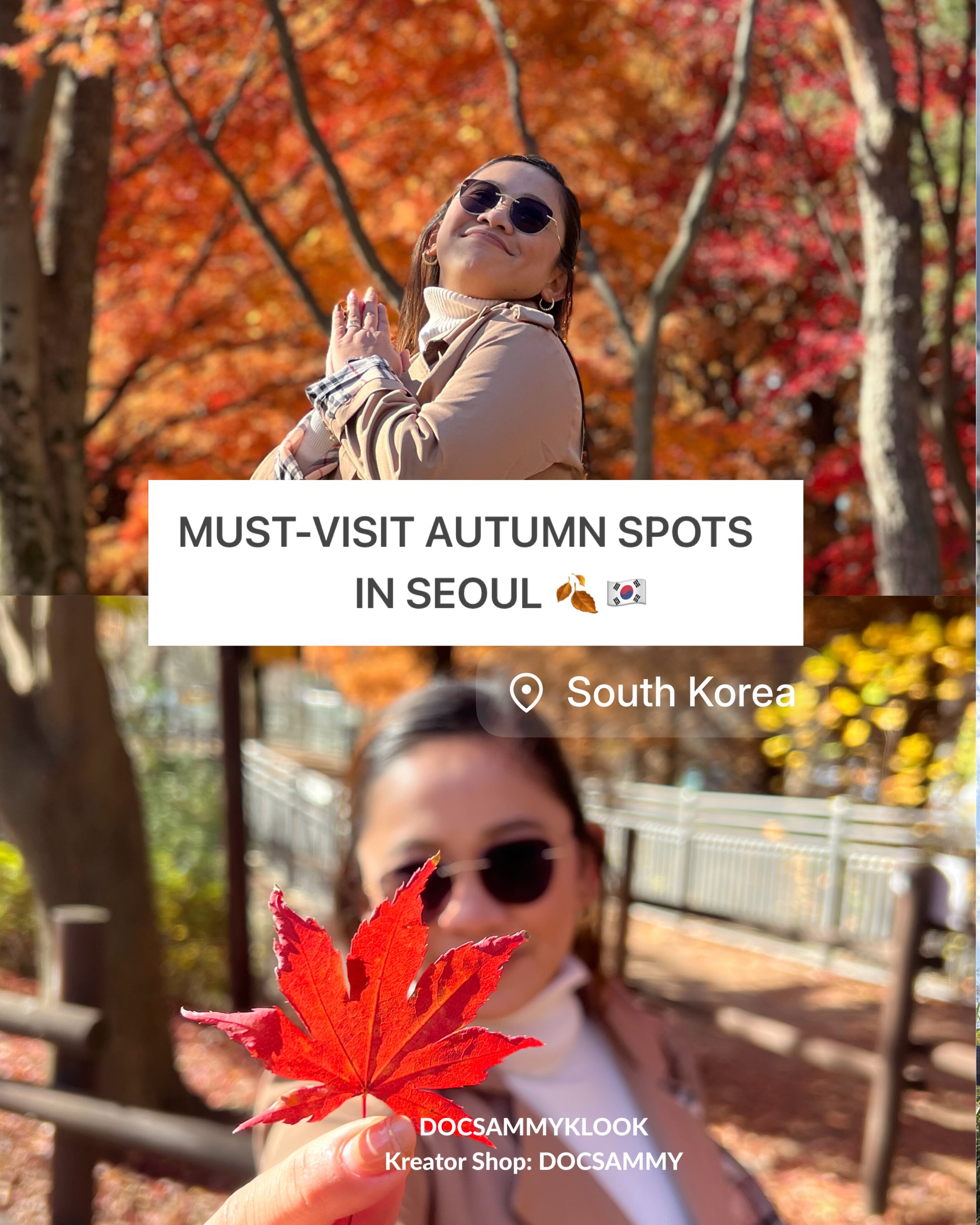 Seoul's Top Autumn Foliage Viewing Spots