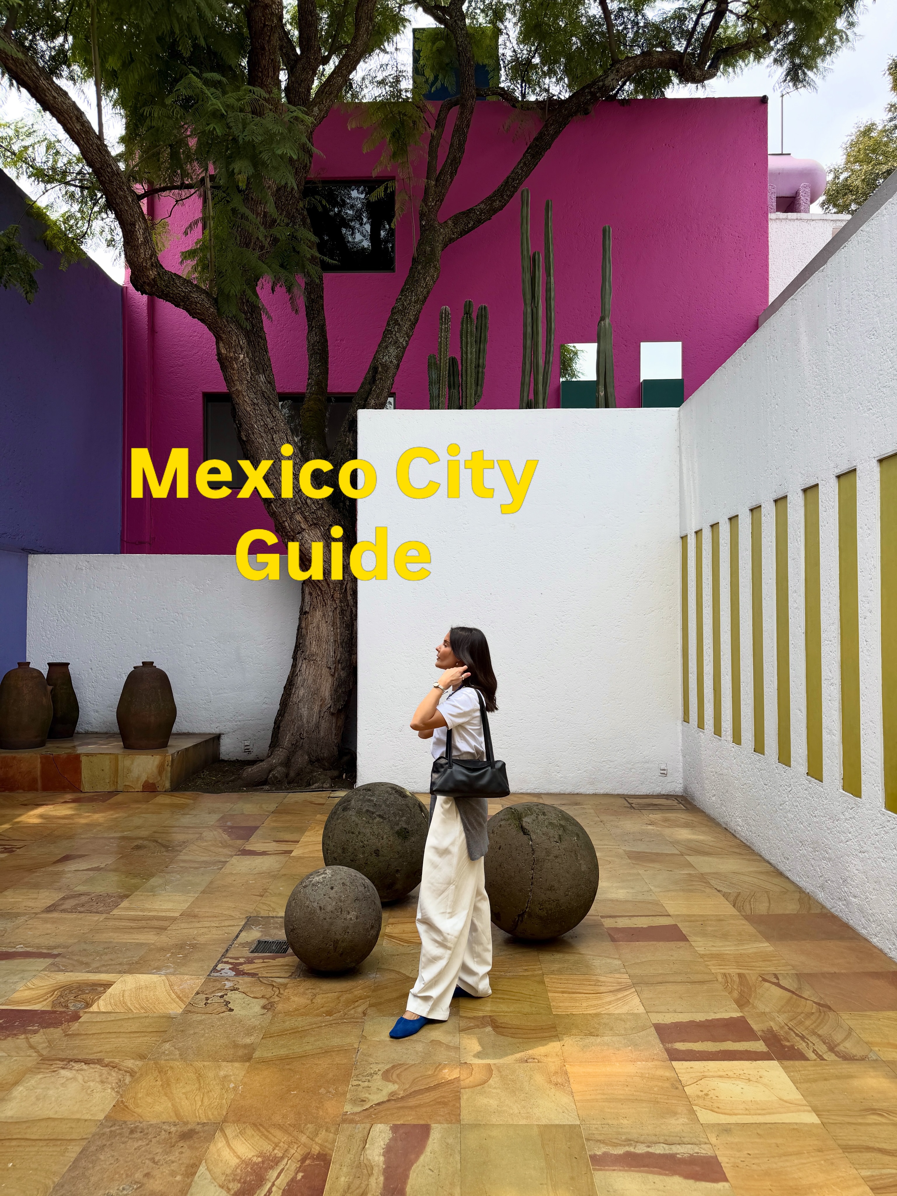 Mexico City's Top Museums, Eateries, and Cultural Spots