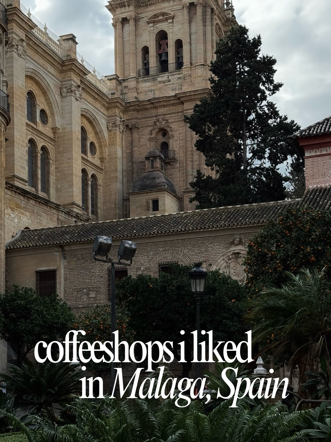 Specialty Coffee Shops and Cafes in Malaga