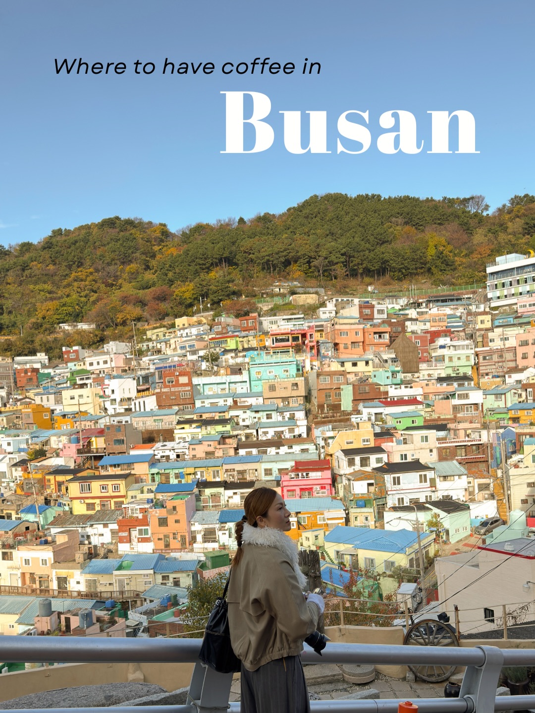 Busan's Coffee Shops Offer Diverse Ambiance and Treats