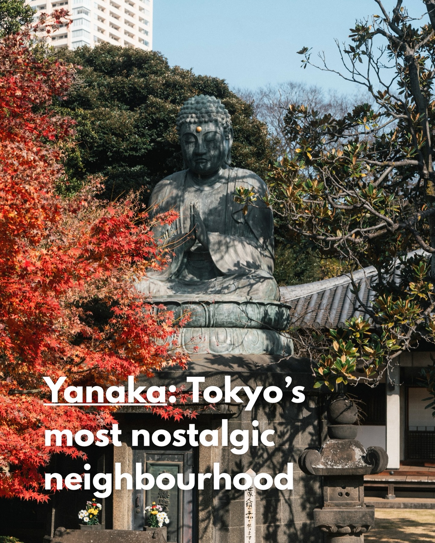 Discover Old Tokyo Charm in Yanaka Neighborhood
