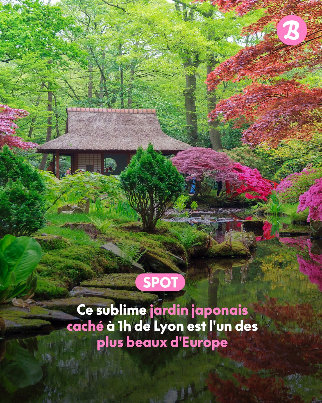 Discover Zen Garden's Tranquil Beauty Near Lyon