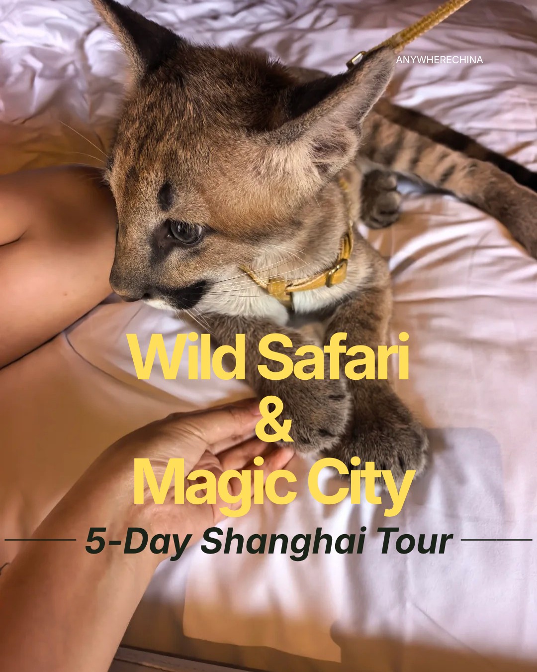East China Tour: Shanghai Landmarks and Wild Encounters