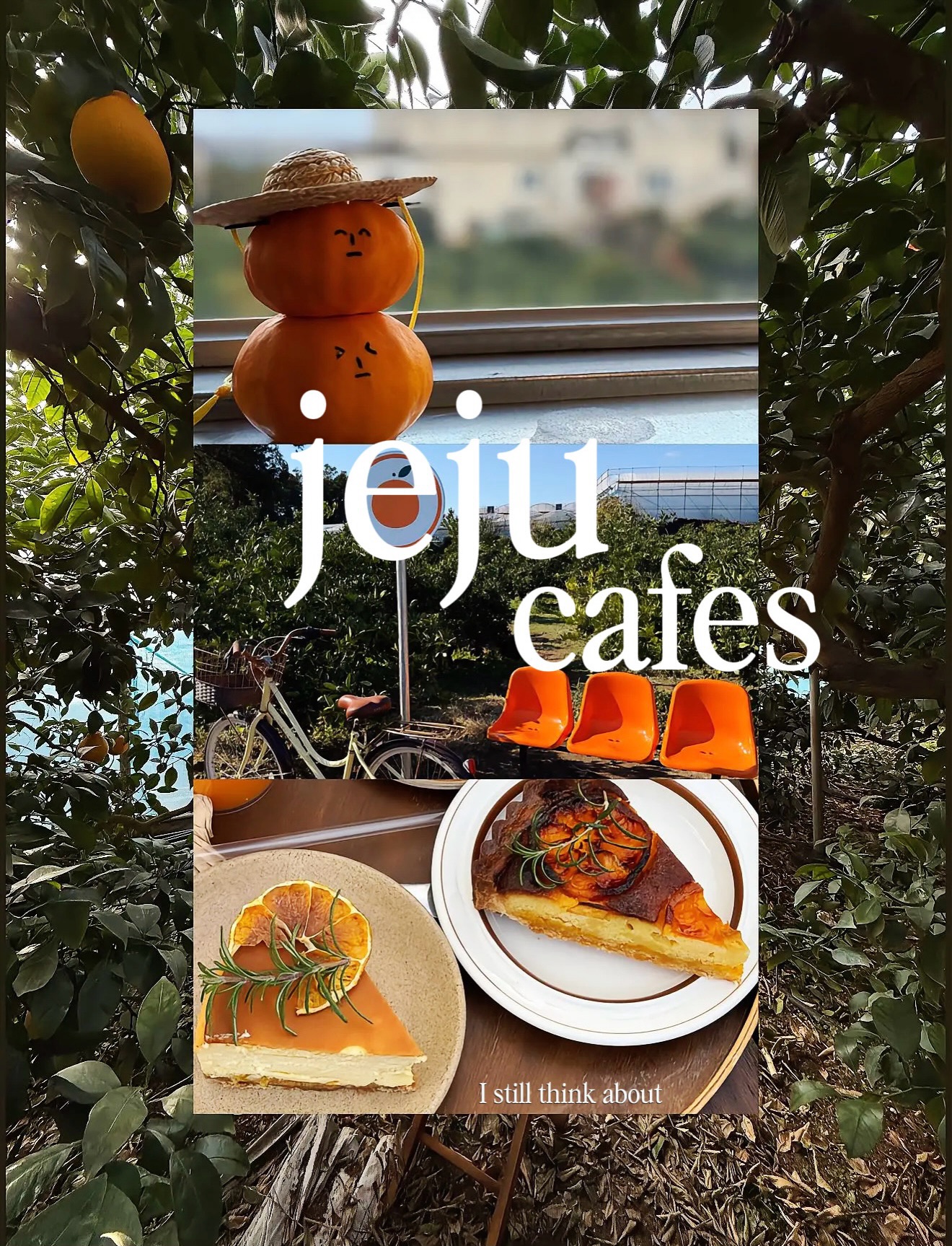 Jeju Cafes And Unique Food Experiences