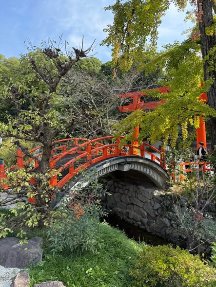 Kyoto's Ancient Shrine and Forest