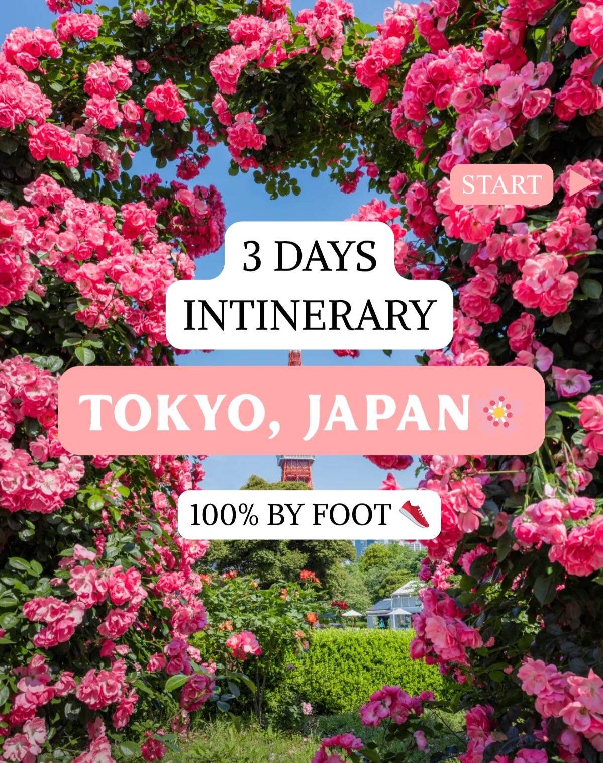 Tokyo Exploration: Shibuya, Asakusa, Ueno, and More