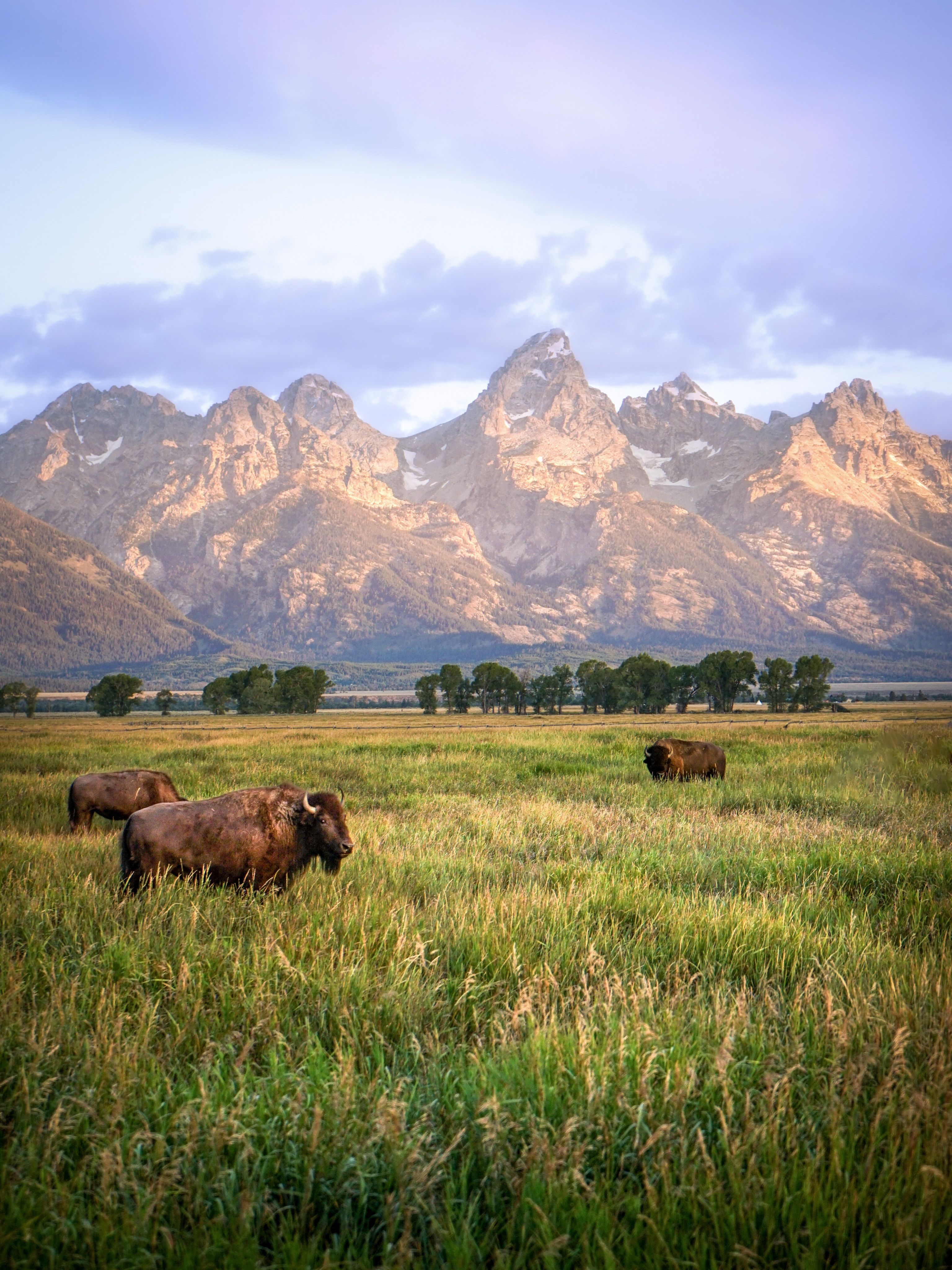 Majestic Mountain Parks Of The Rockies