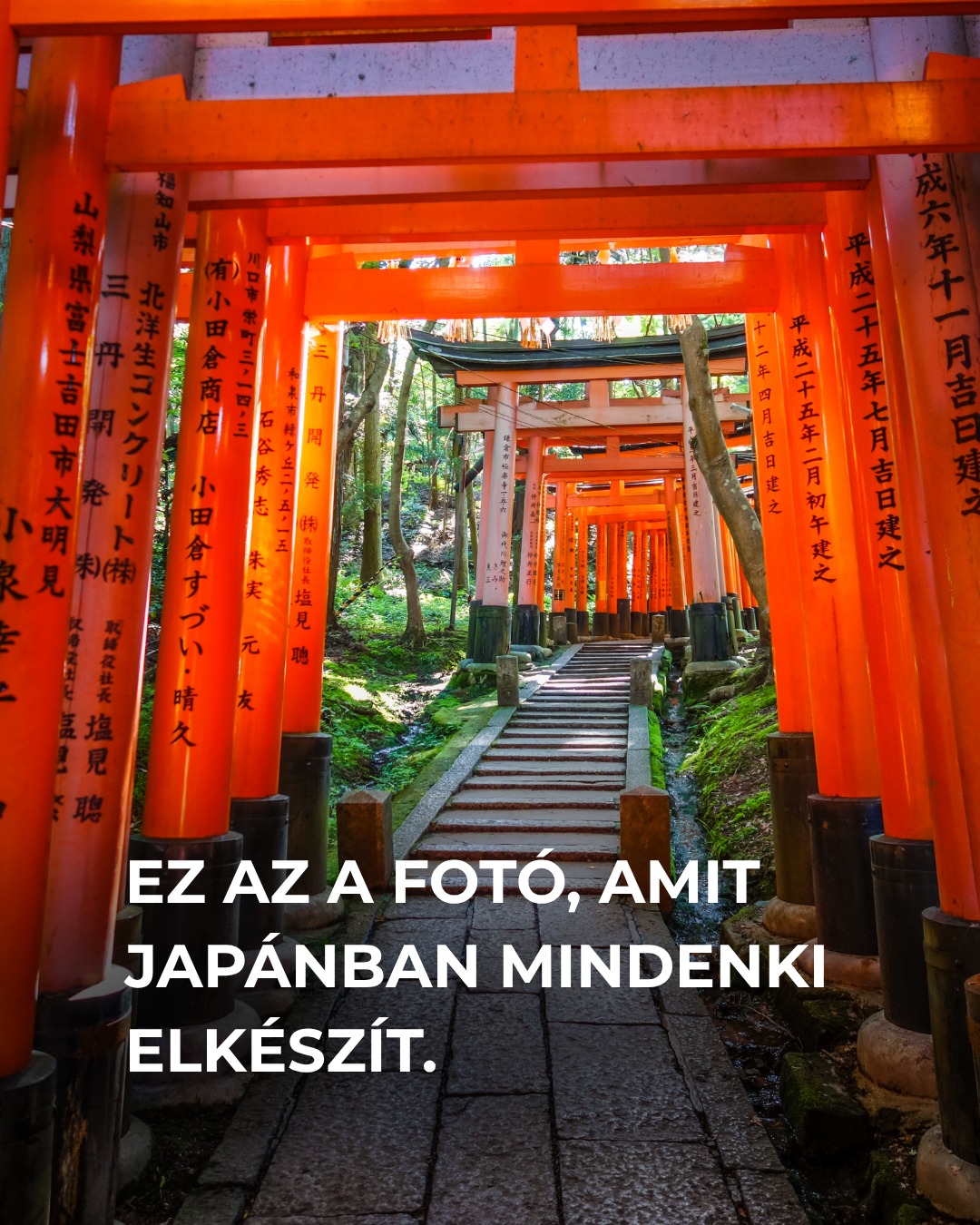 Iconic Tokyo Spots and Tranquil Hidden Gems