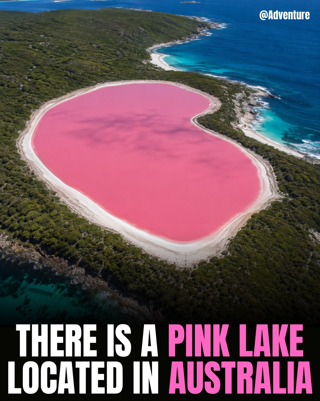 Pink Lake Hillier and Middle Island