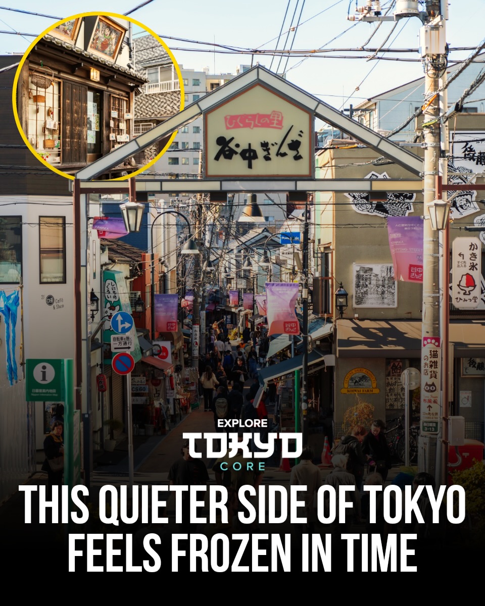 Tokyo's Historic Neighborhoods and Temples