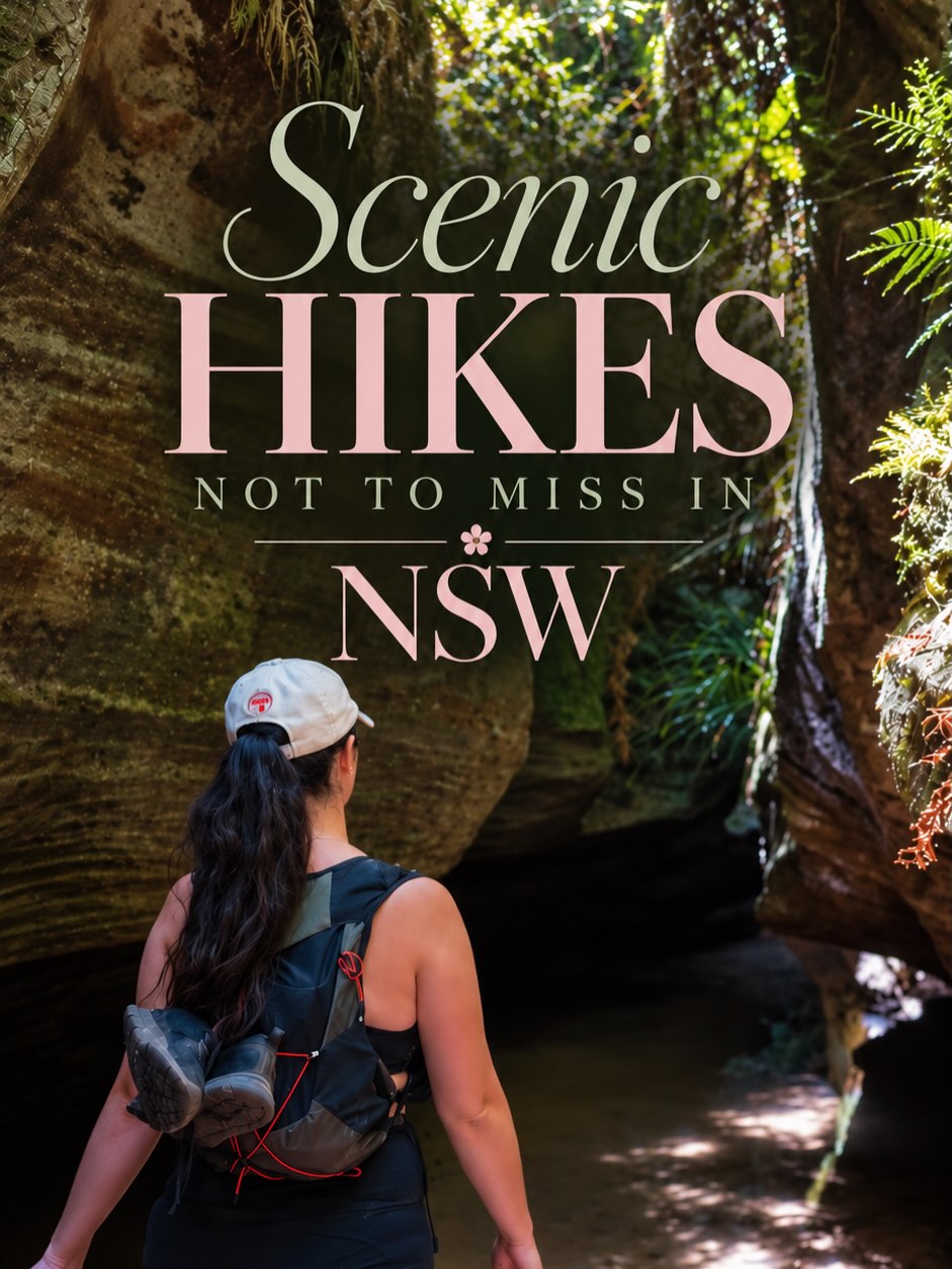 Best Hikes and Walks in New South Wales