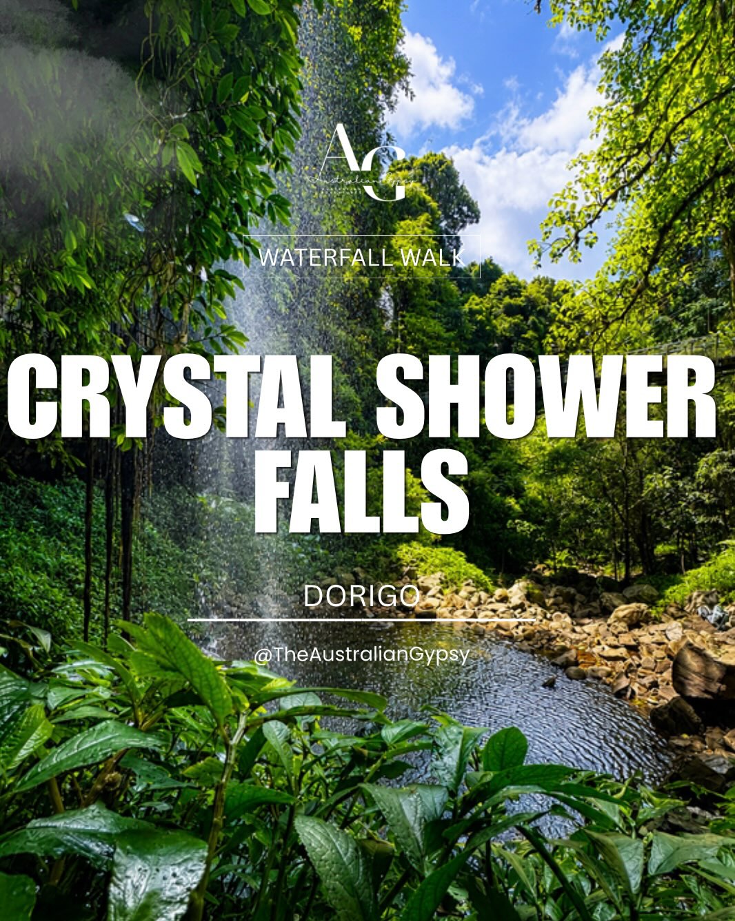 Dorrigo National Park's Waterfall Walks