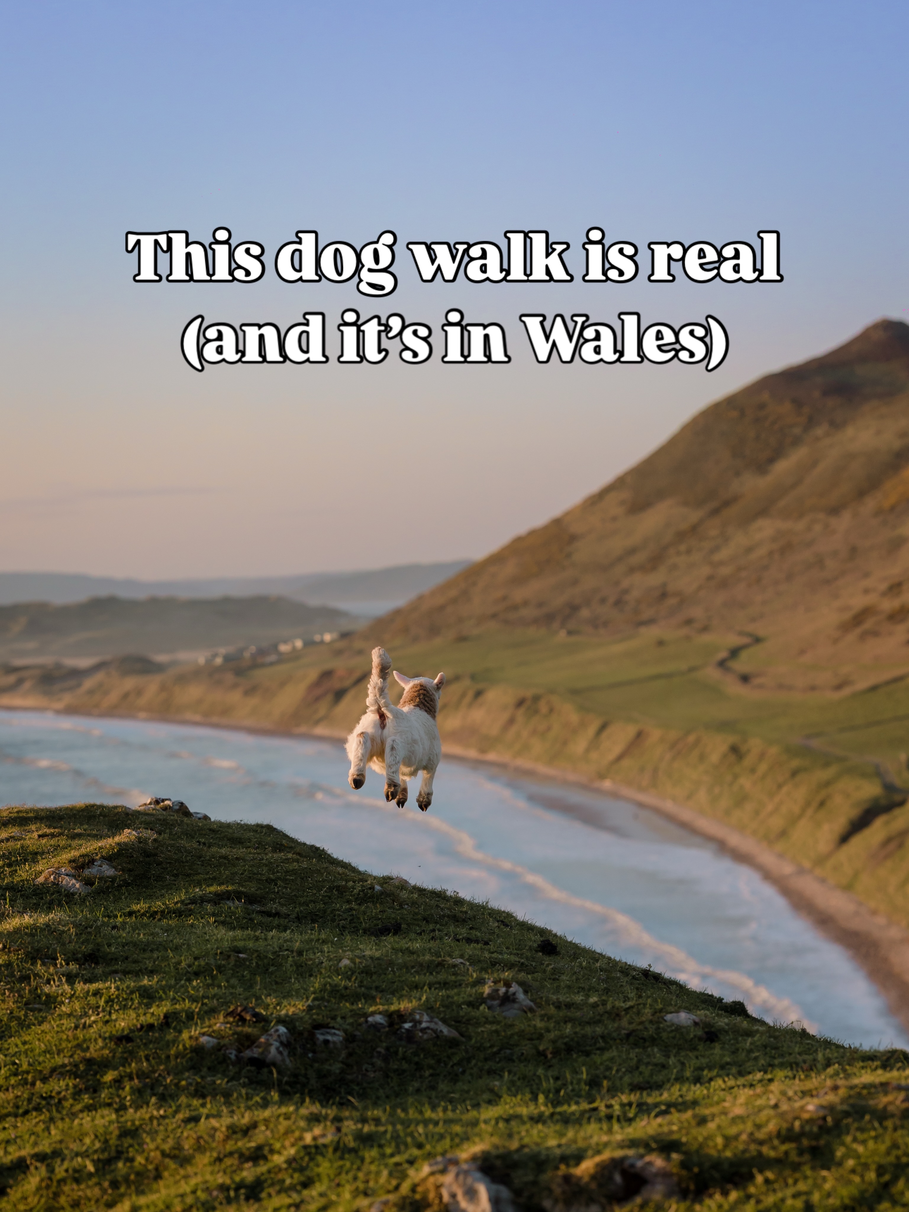 Dog-Friendly Gower Peninsula Walks