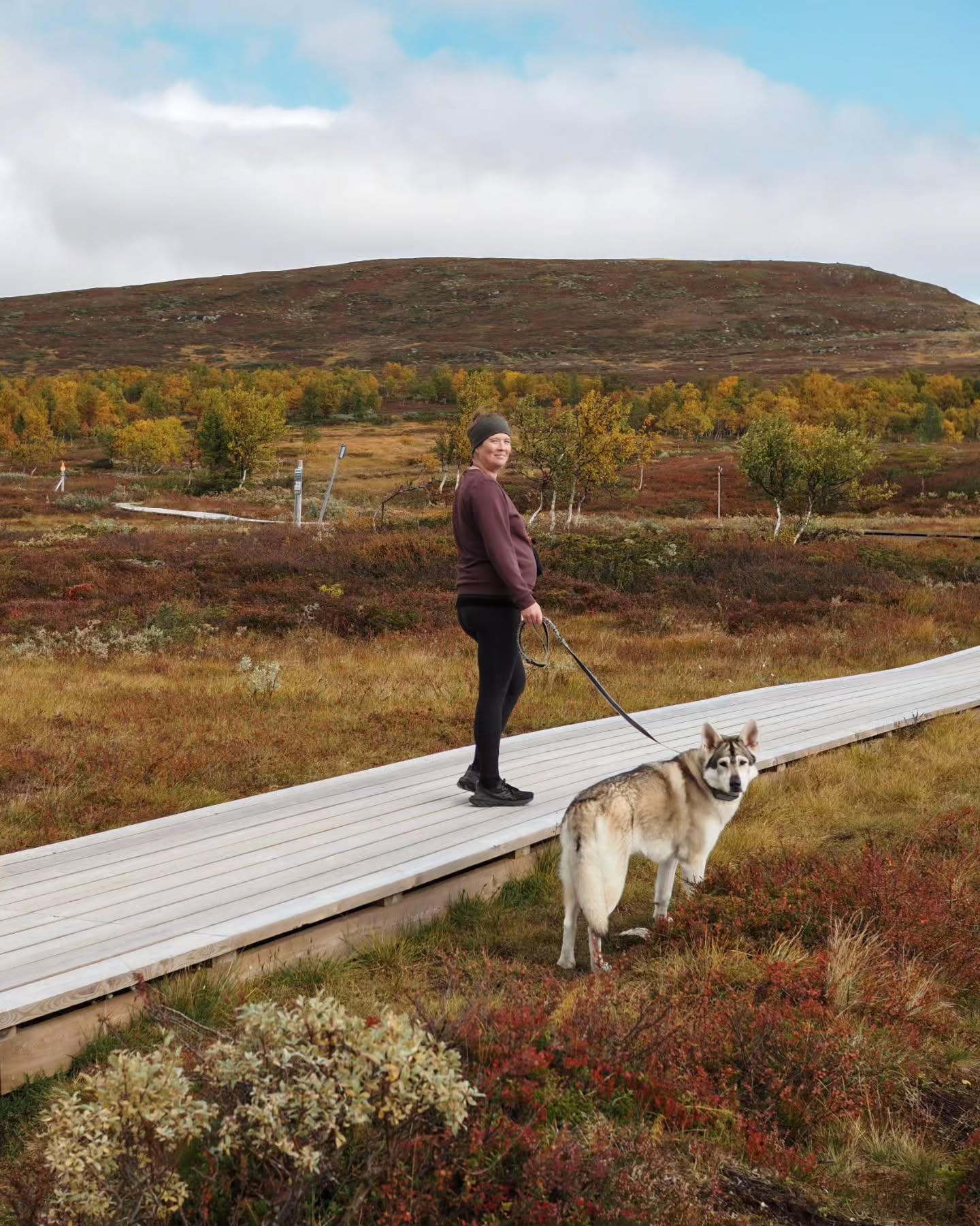 Mountain Hike to Andersborg for Chanterelle Toast