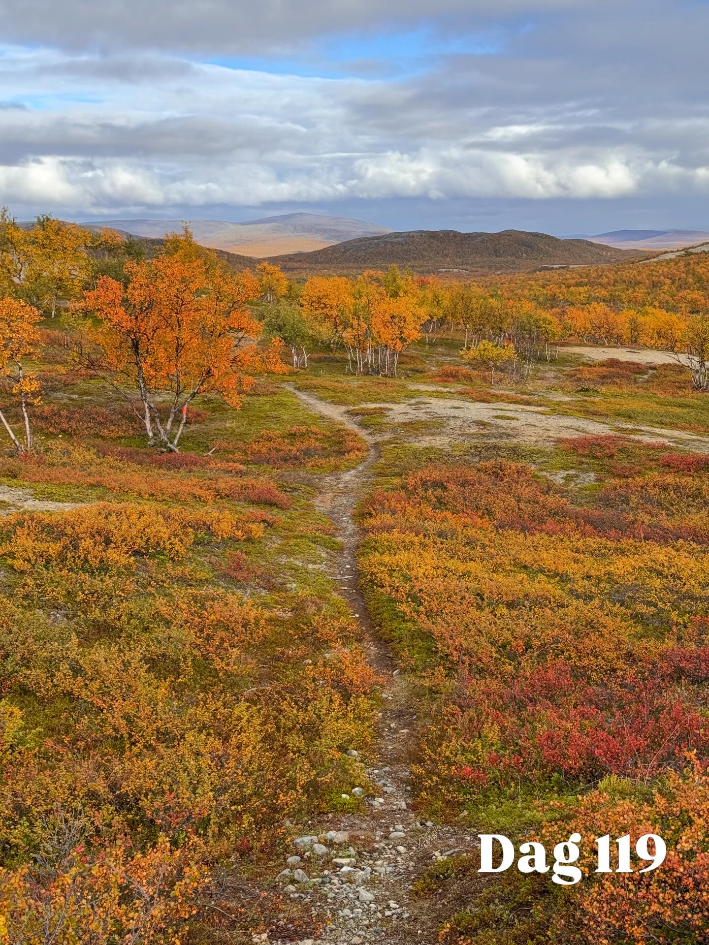 Autumn Colors in Swedish Mountains