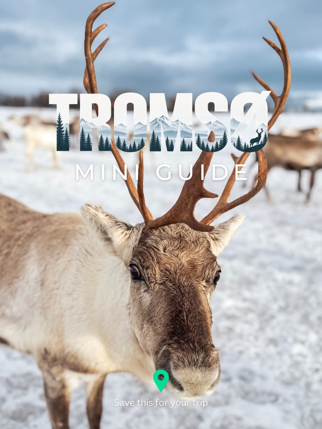 Tromsø's Top Attractions And Culinary Delights