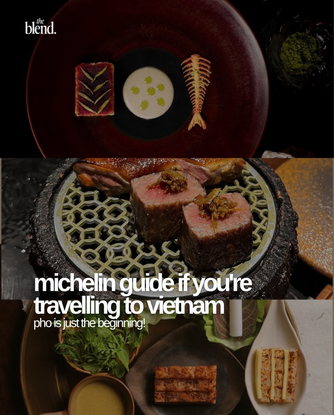 Vietnam's Michelin-Starred Dining Destinations