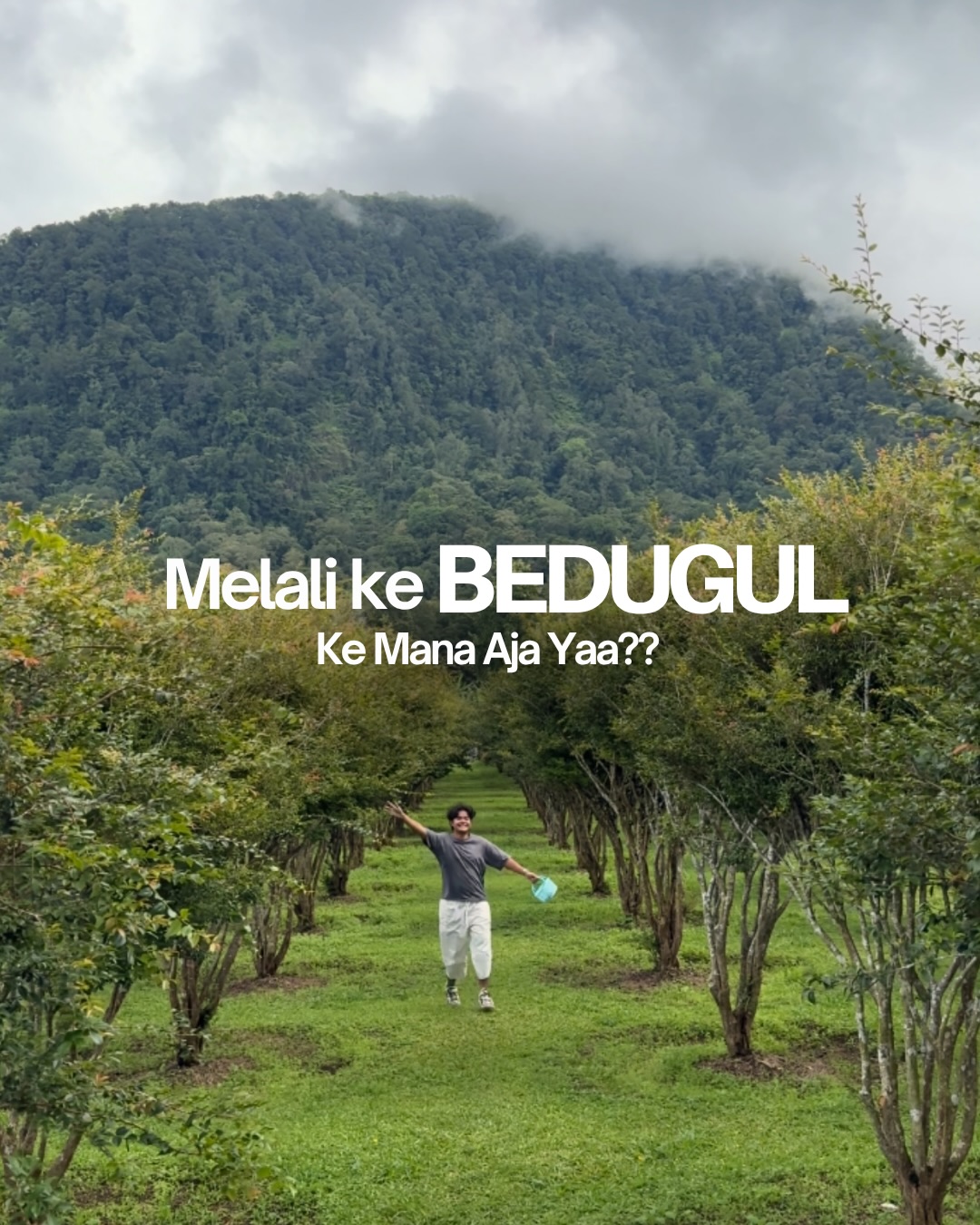 Bedugul's Top Tourist Attractions