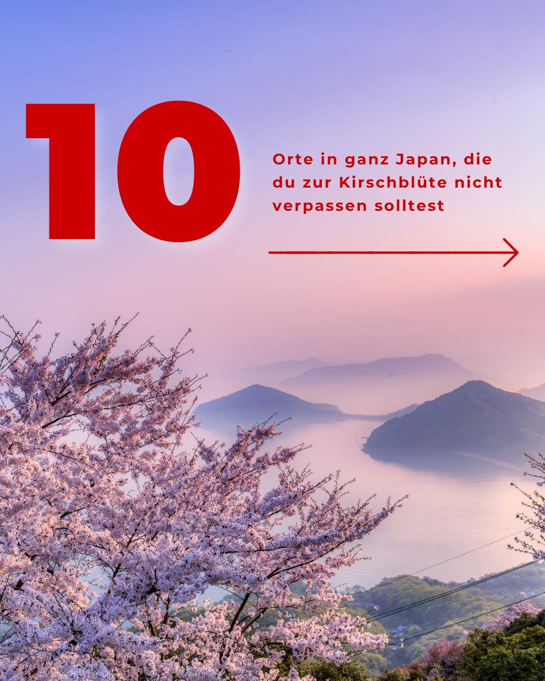 Stunning Sakura Spots Across Japan