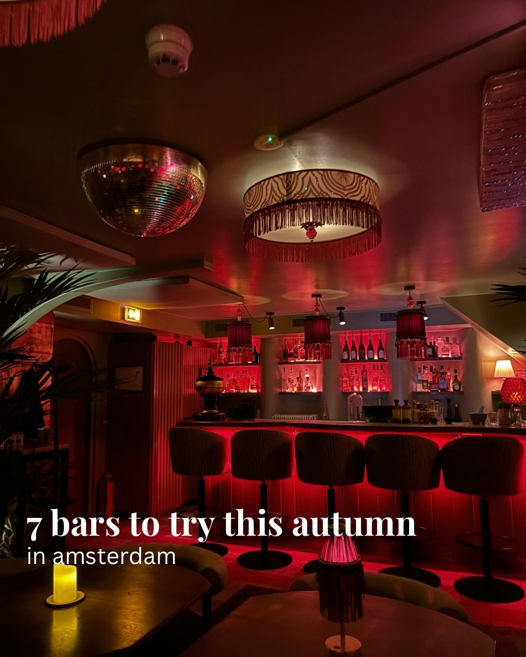 Amsterdam Bars To Visit This Autumn