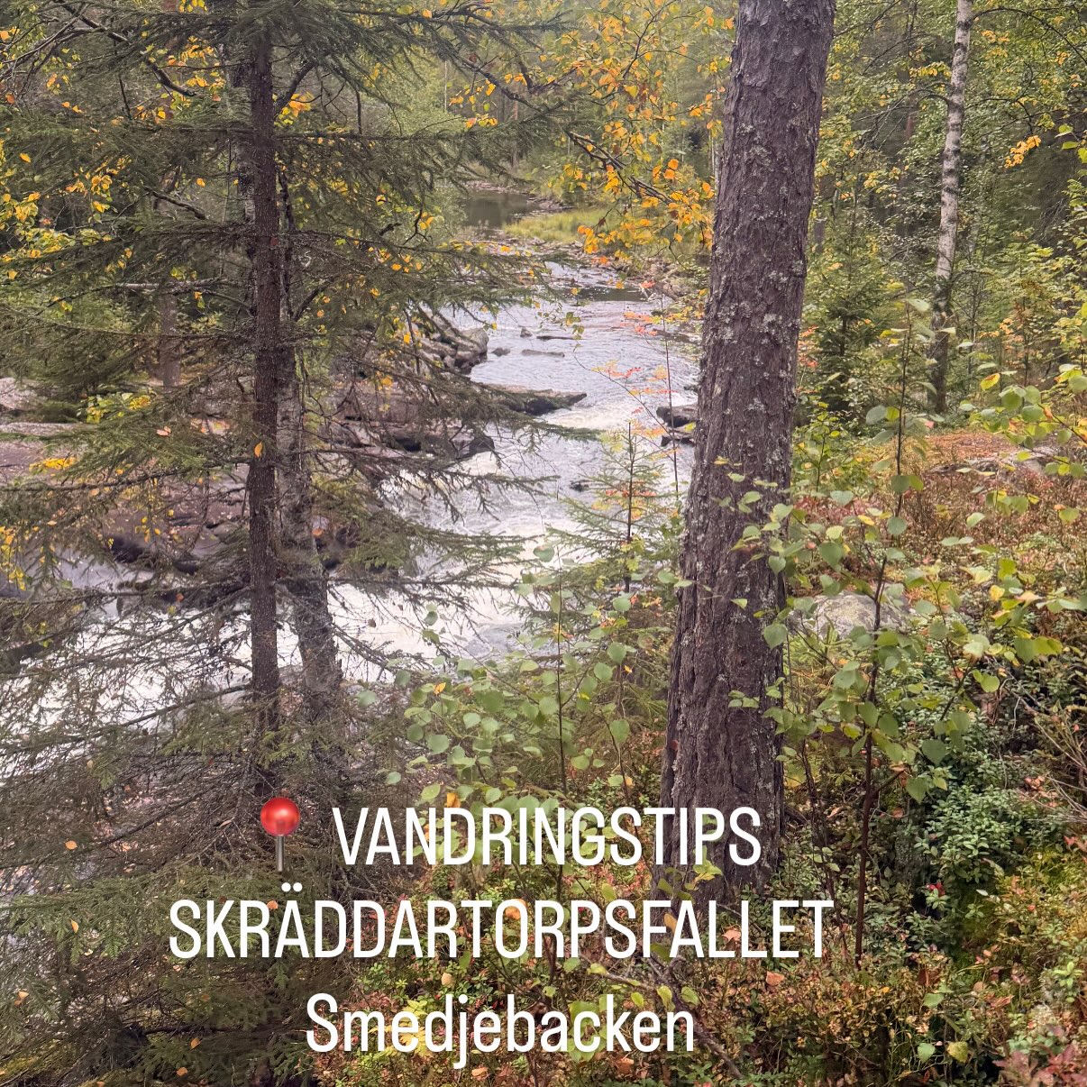 Skräddartorpsfallet Hike in Malingsbo-Kloten