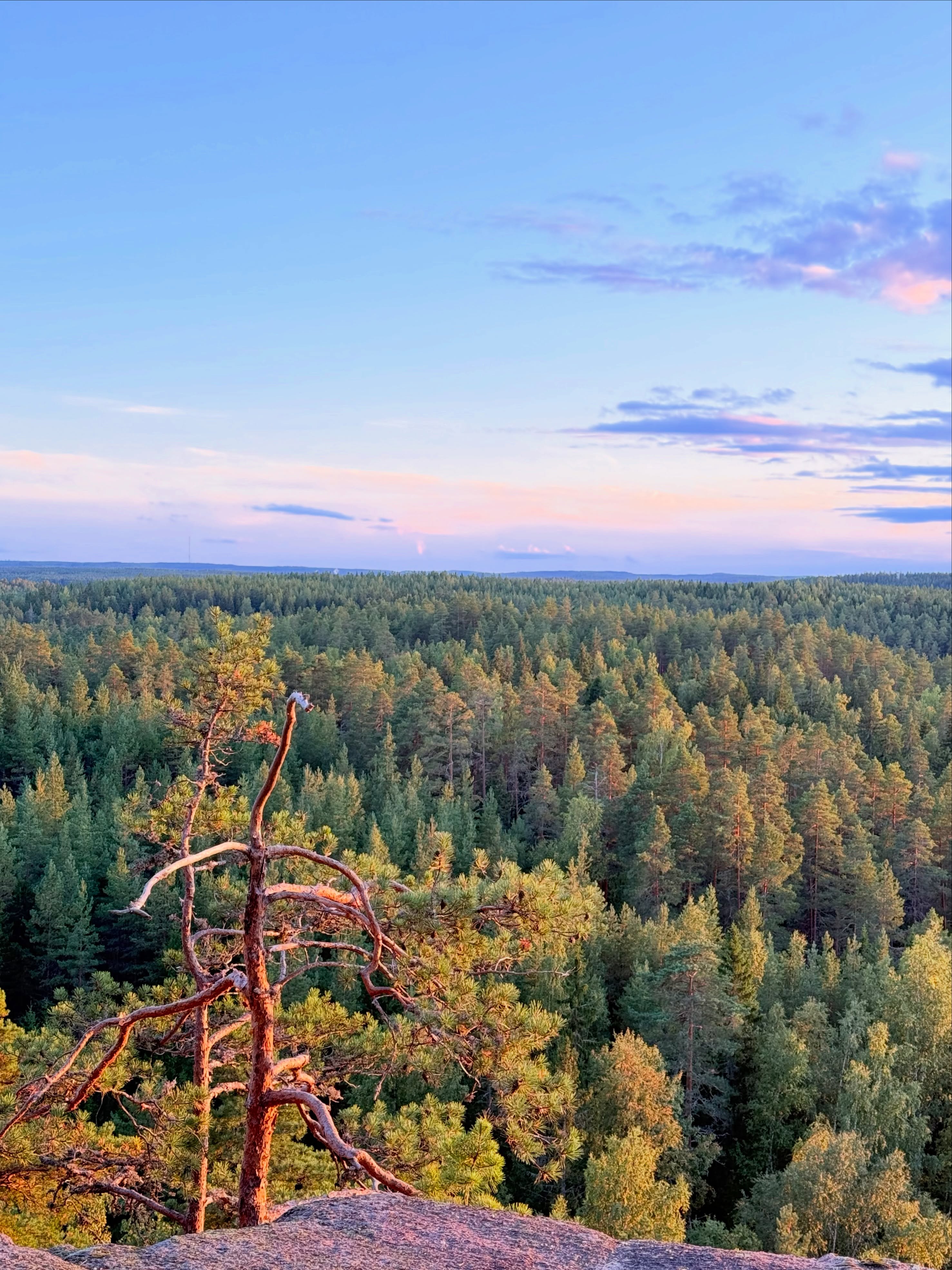 Repovesi National Park and Lapinsalmi Bridge Scenic Spots