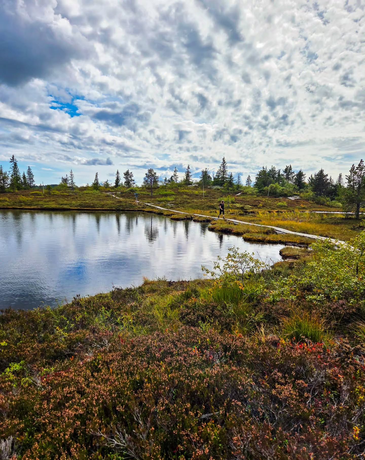 Mountain Hikes At Five Scenic Norwegian Locations