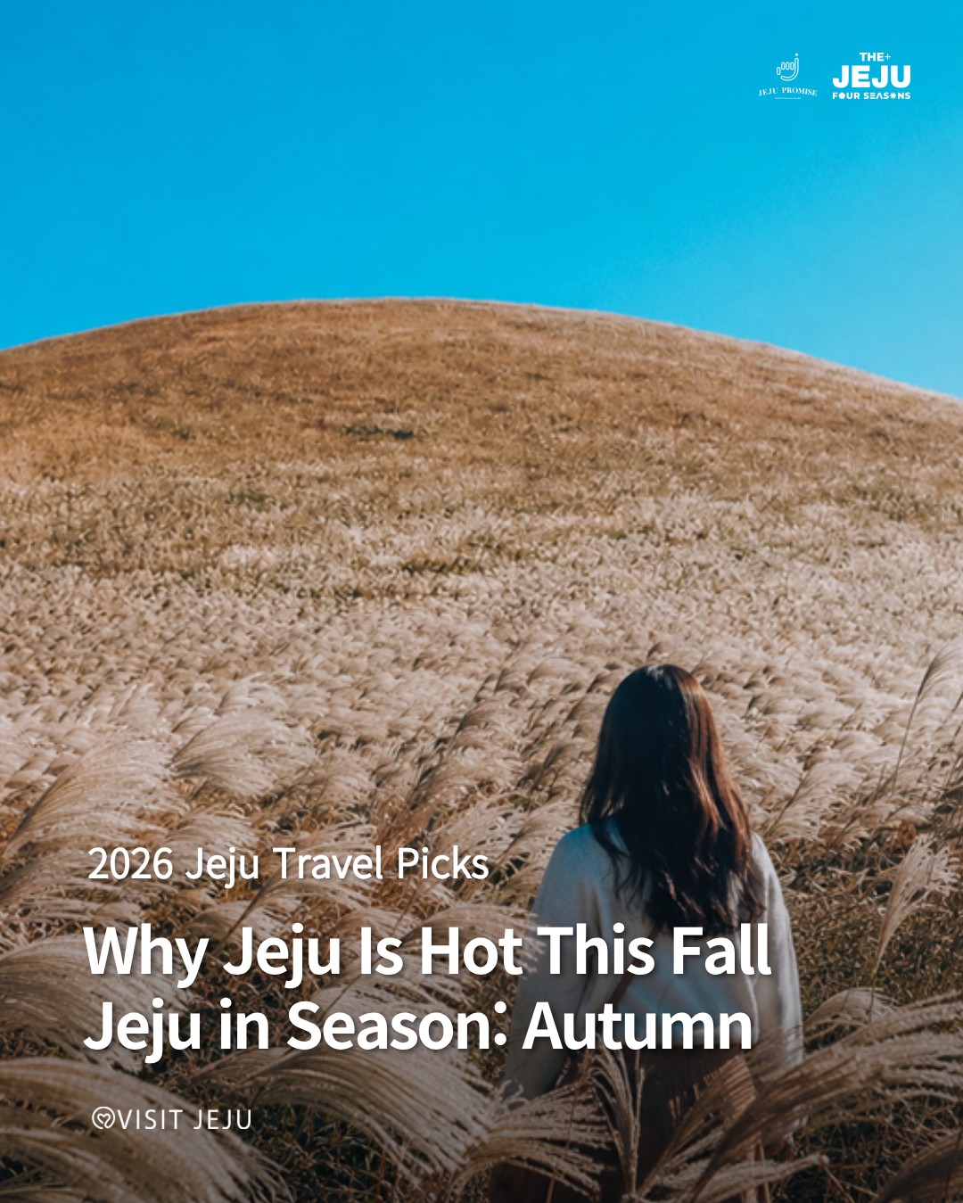 Jeju Island's Autumn Enchantment: Nature, Art, and Culture