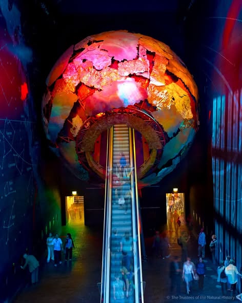 Natural History Museum's Fascinating Exhibits