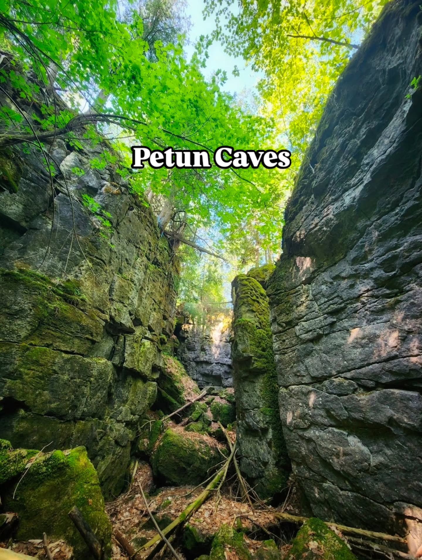 Niagara Escarpment Caves And Rock Formations