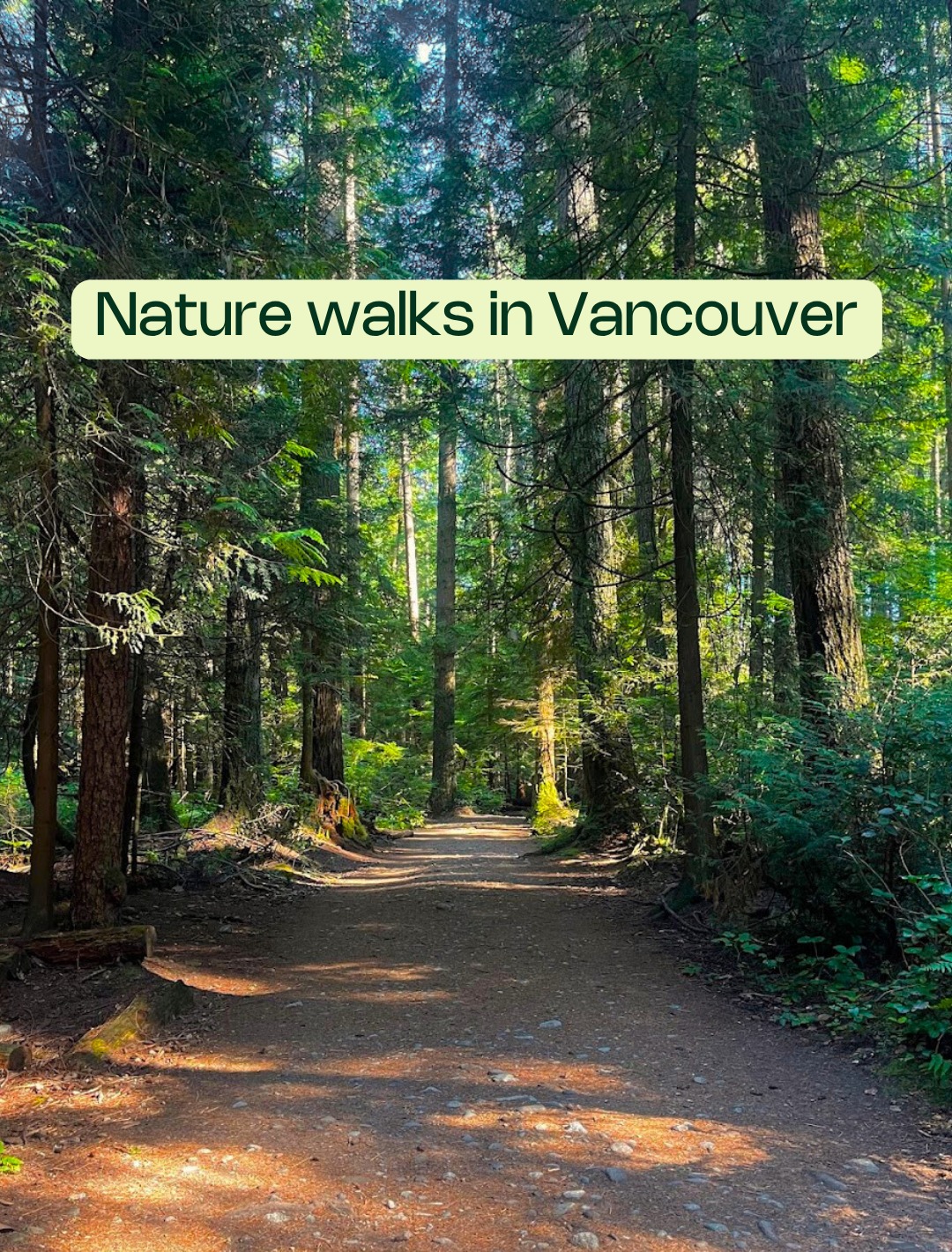 Vancouver's Accessible Nature Trails For Families
