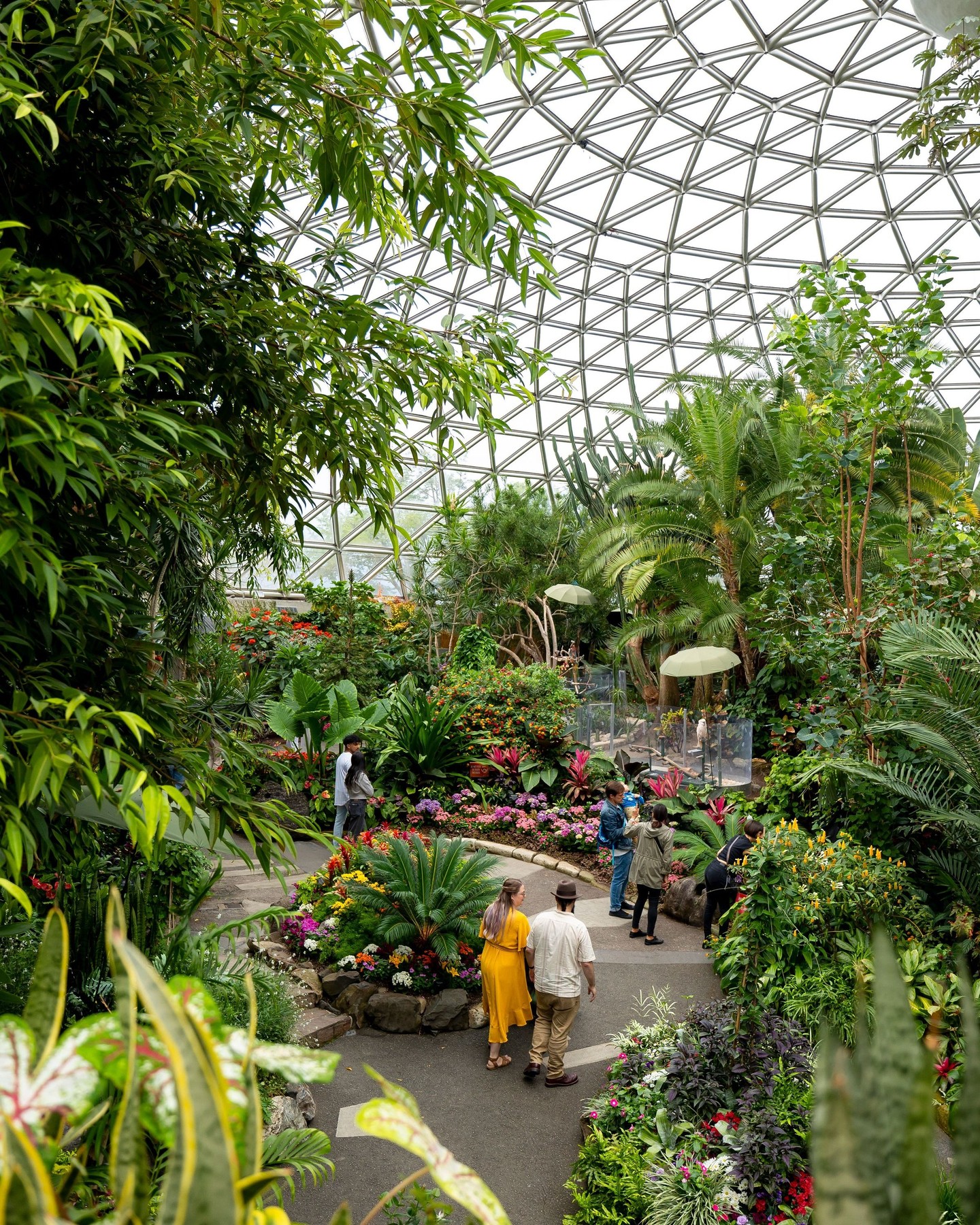 Tropical Bird and Plant Haven