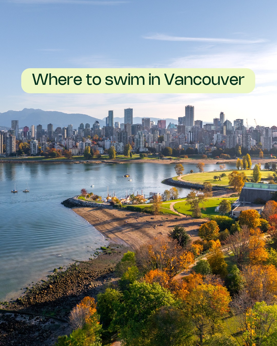 Vancouver's Top Beach Spots for Swimming and Picnics