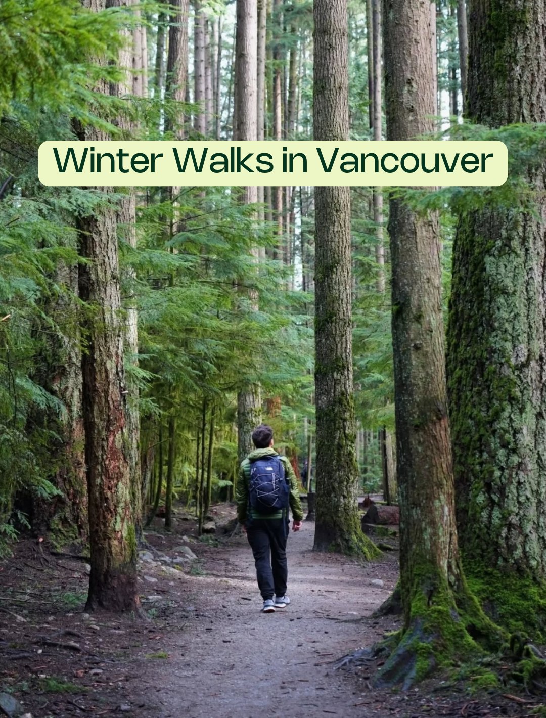 Vancouver's Best Parks and Trails for Winter Walks