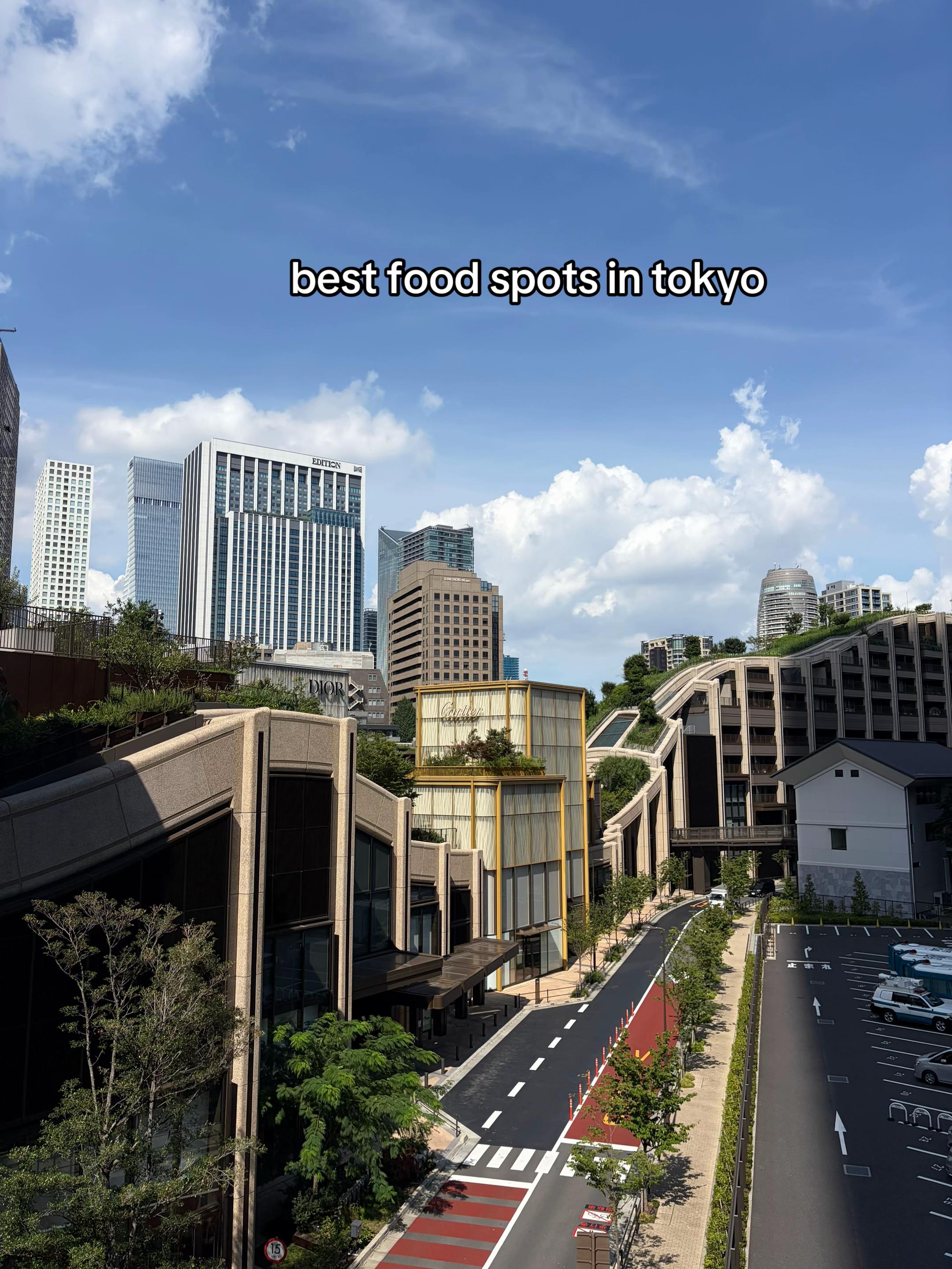 Tokyo's Top Spots For Diverse Culinary Delights