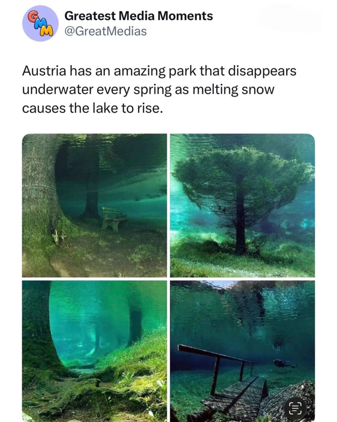 Grüner See: Austria's Seasonal Underwater Park