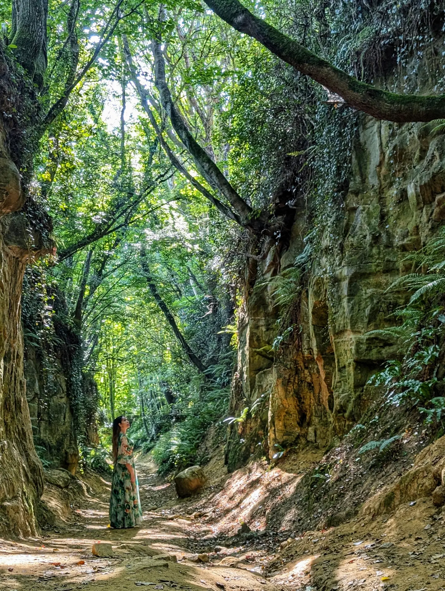 Shute's Lane: An Ancient Sunken Holloway