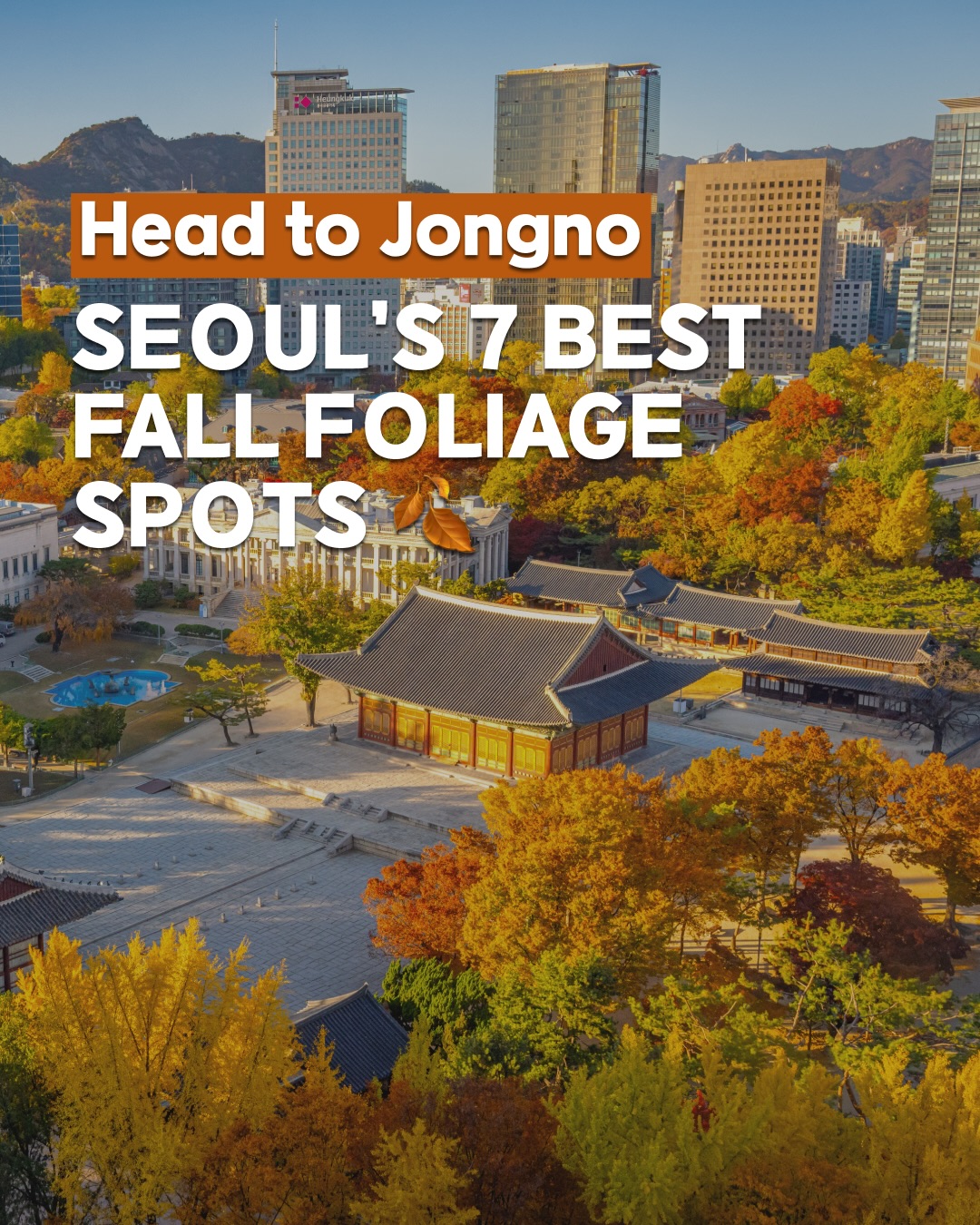 Jongno's Top Spots For Fall Foliage