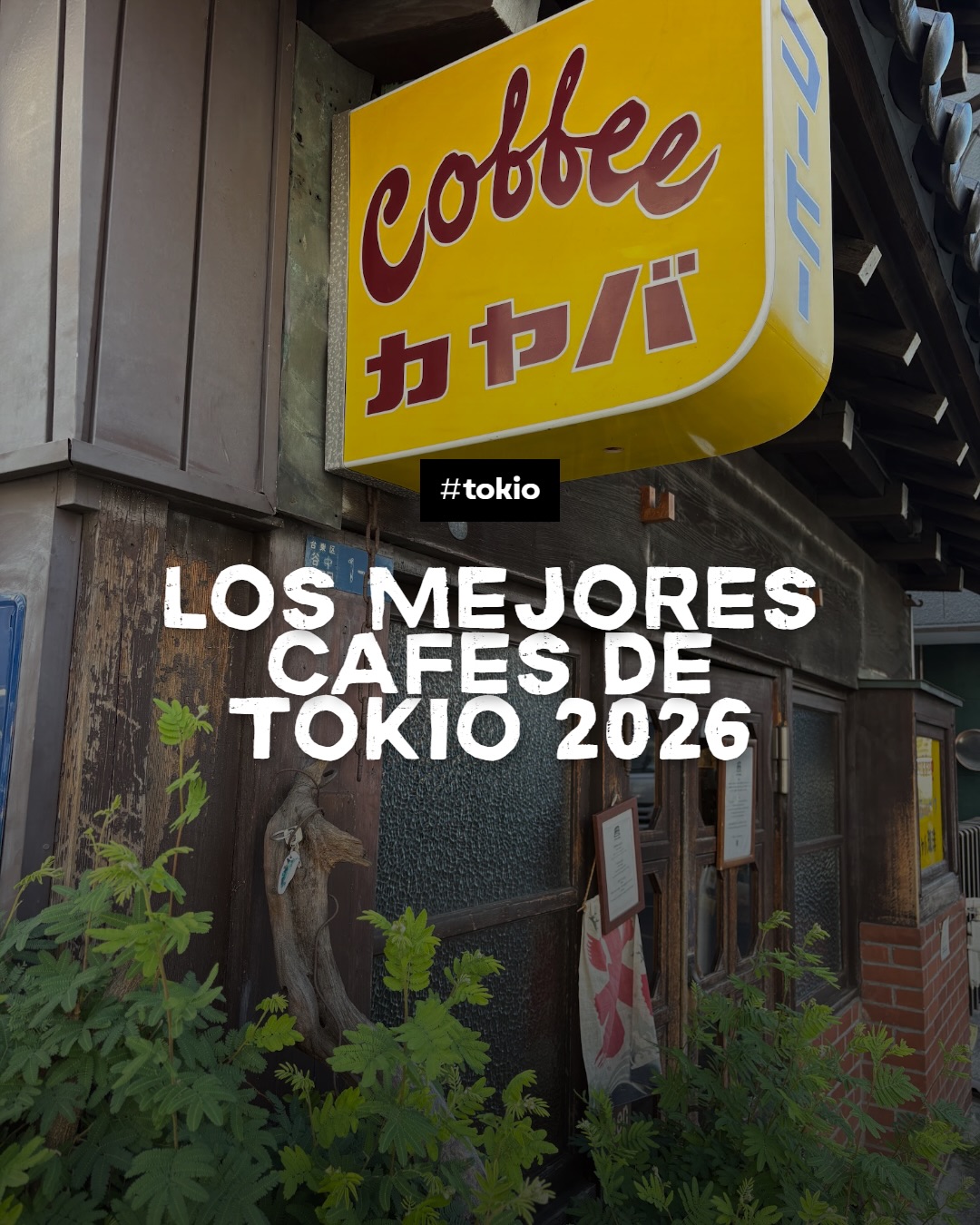 Tokyo Cafes: History, Animals, Matcha, and Coffee