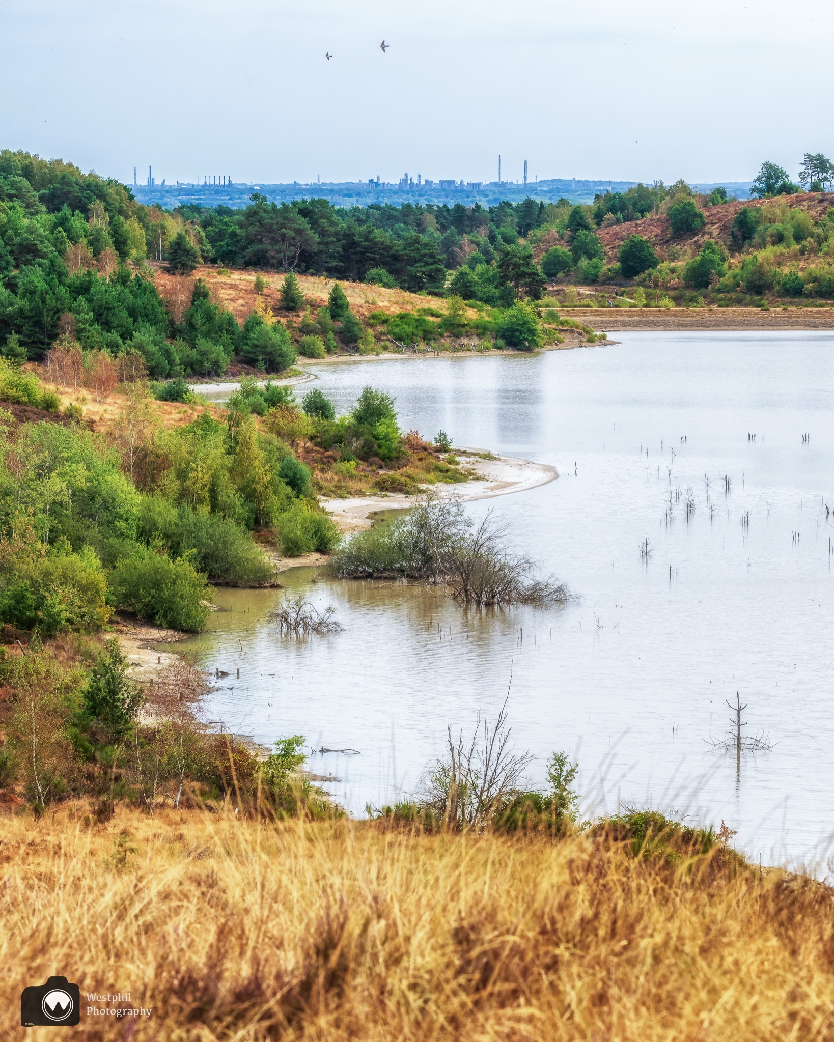 Mechelse Heide And RivierPark Maasvallei Walk