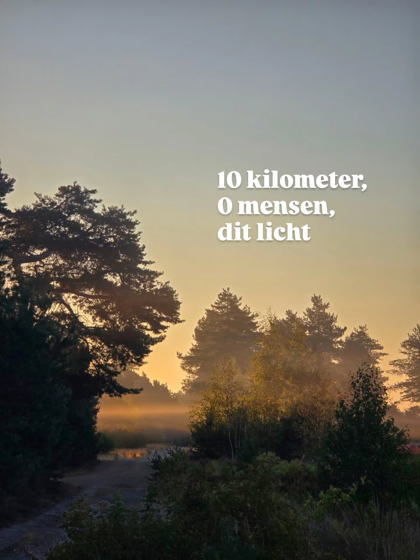 Seven Nature Spots Perfect for Misty Sunrise Walks