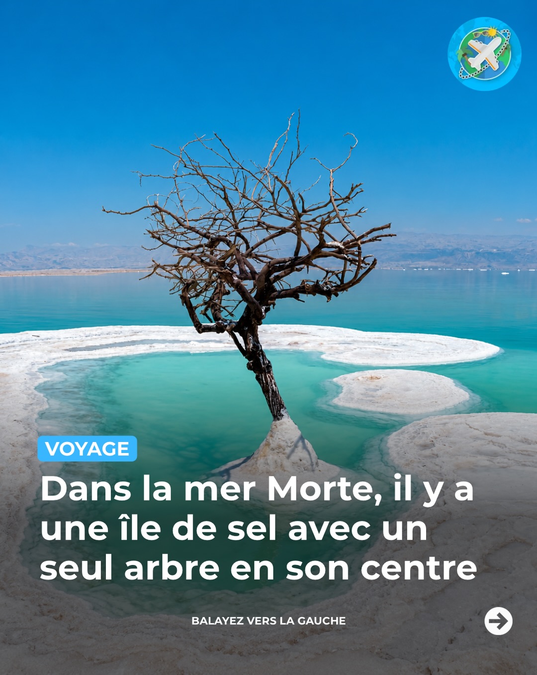 Salt Island Oasis on the Dead Sea