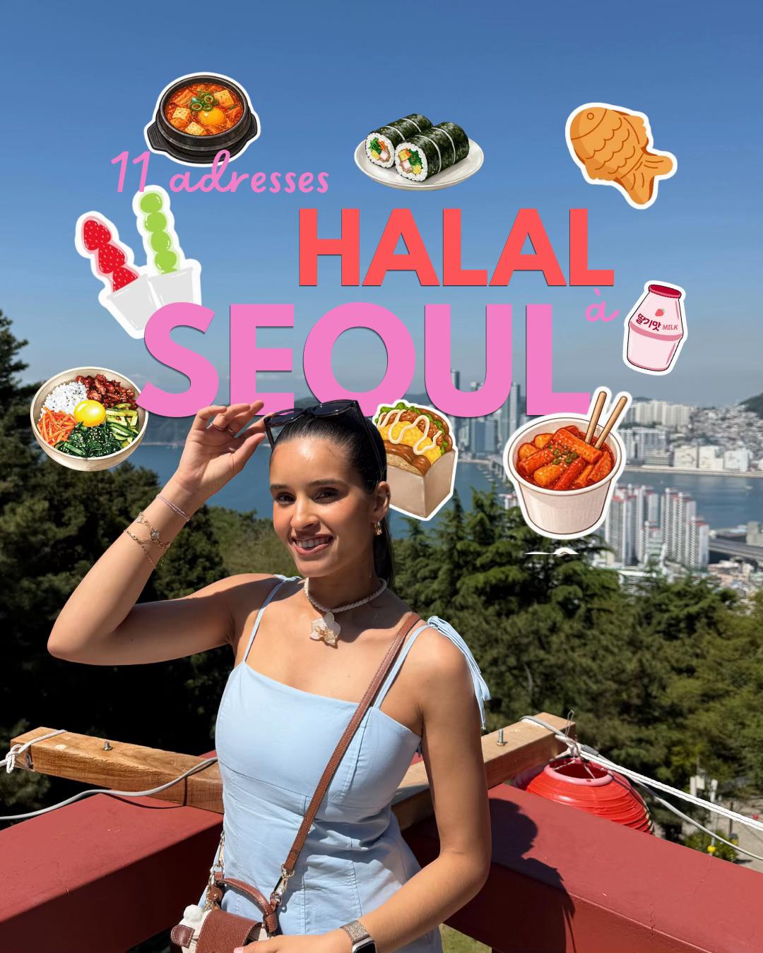 Seoul Halal Food Addresses for Travelers