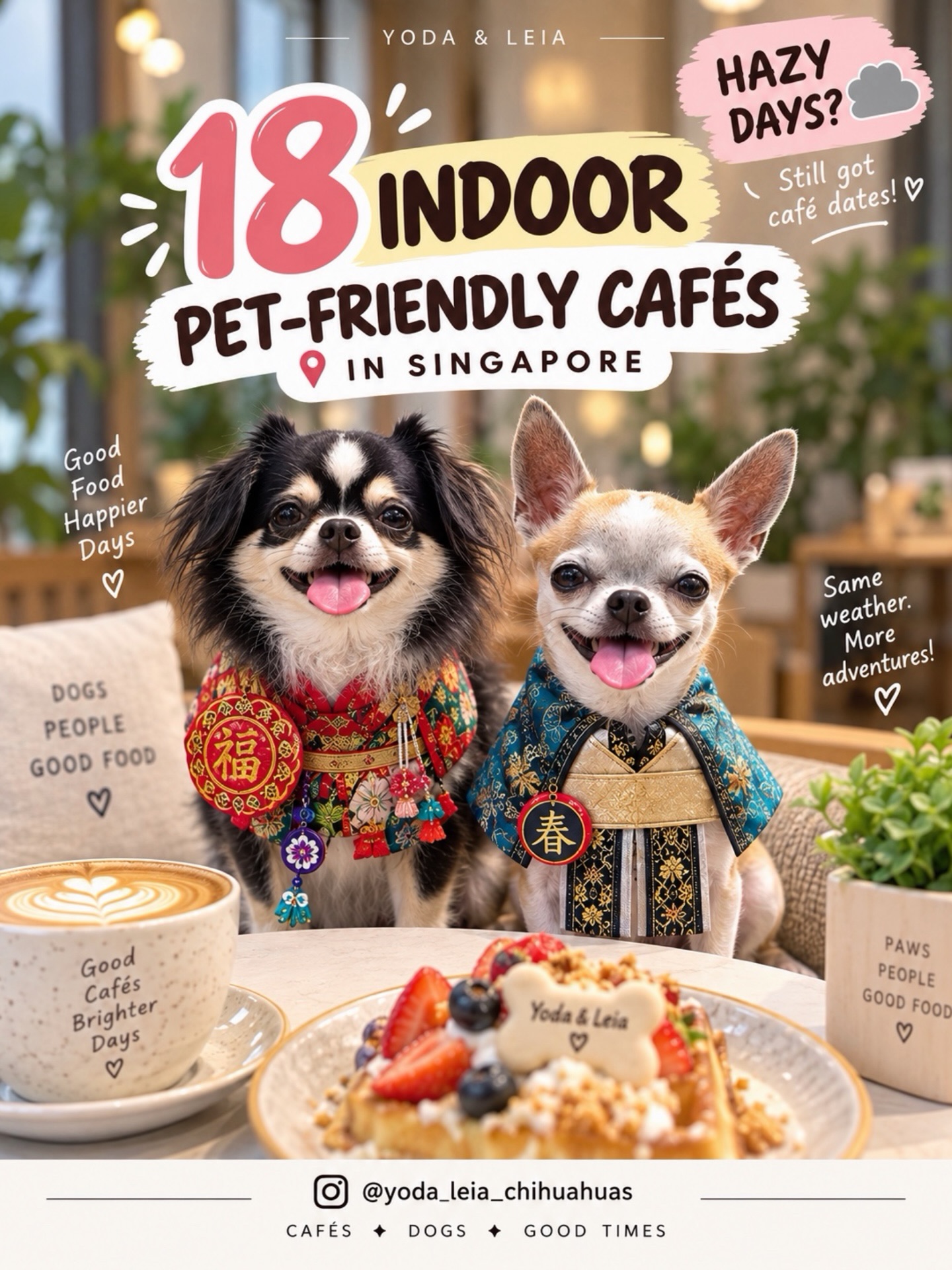 Singapore's Pet-Friendly Cafes With Garden Ambiance