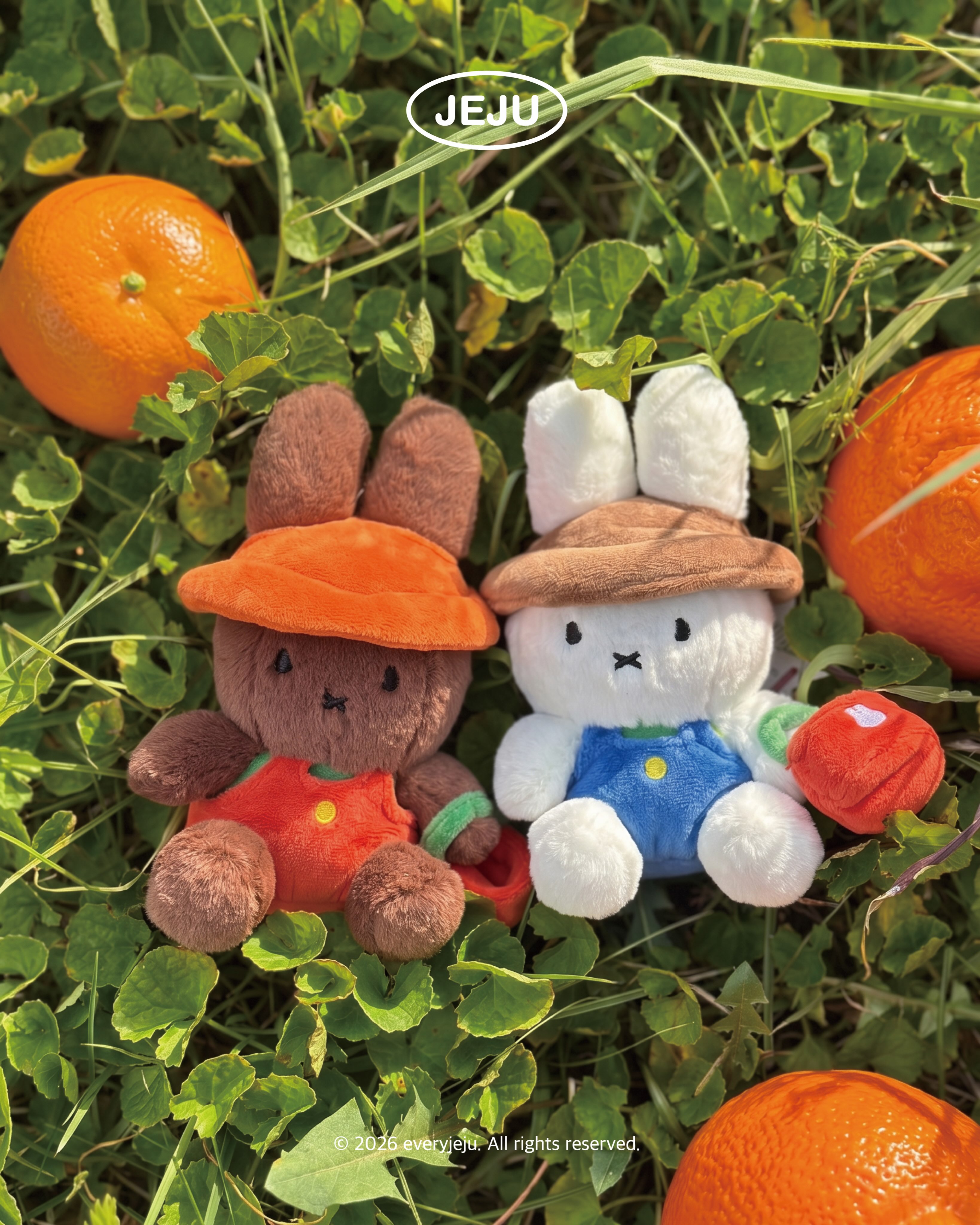 Jeju Miffy Keyrings At Local Stores